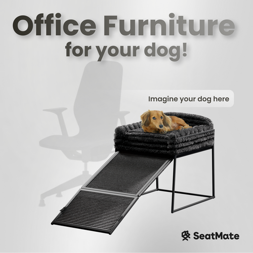 Elevate Your Pup's Comfort: With SeatMate the Game-Changing Pet Chair + Ramp