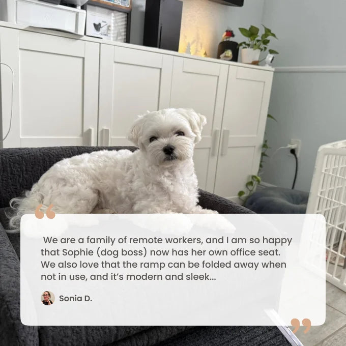 SeatMate™ Pet Office Chair: Black Boucle