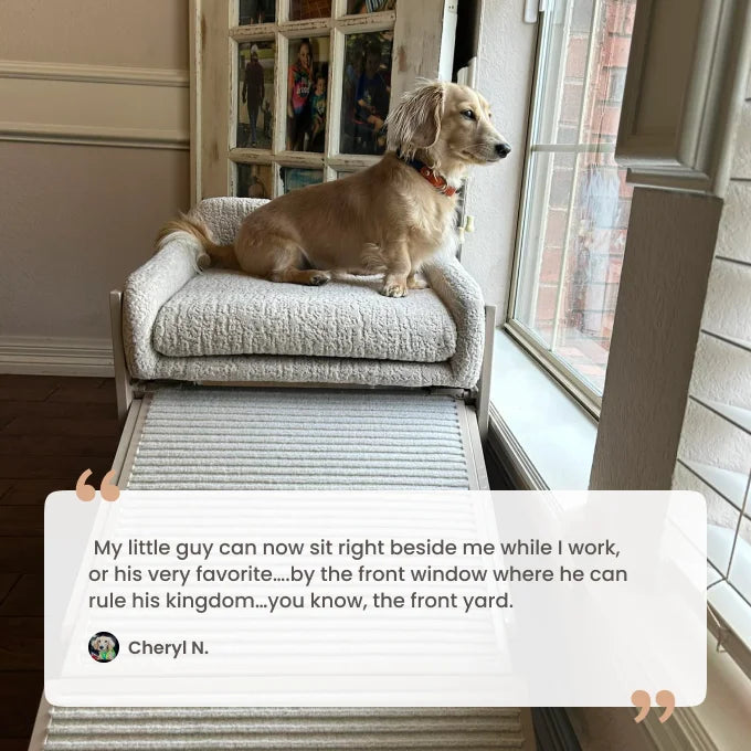 SeatMate™ Pet Office Chair: Cream Boucle