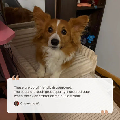 SeatMate™ Pet Office Chair: Cream Faux Fur