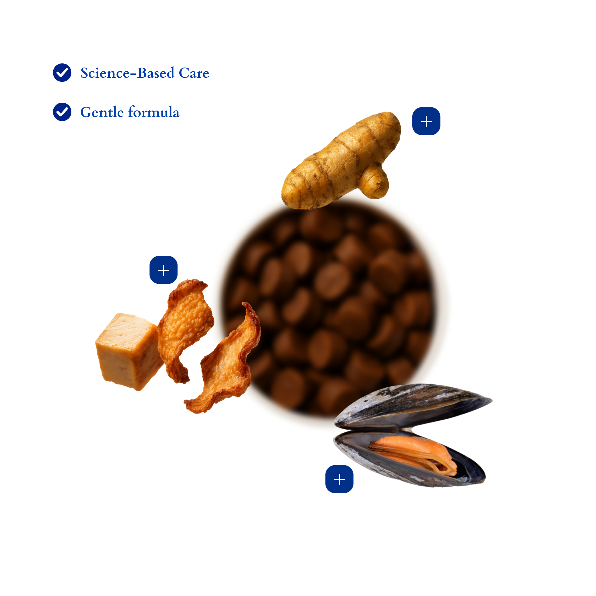 everlyyy: hip & joint supplement