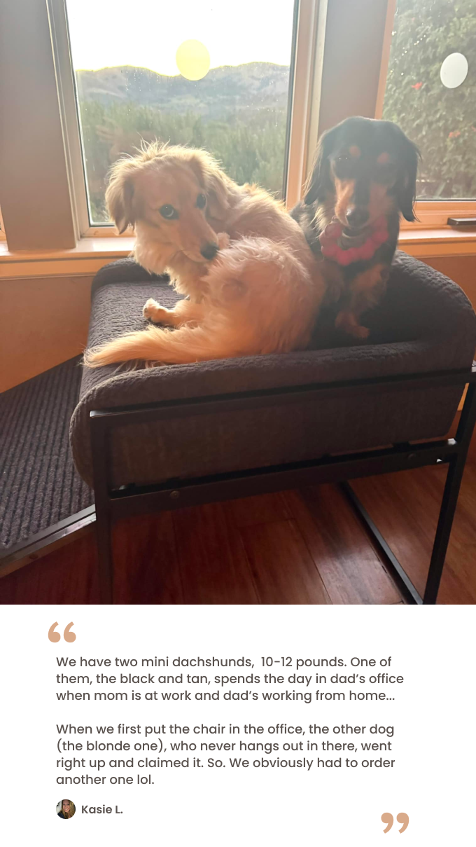 Black faux fur bed testimonial