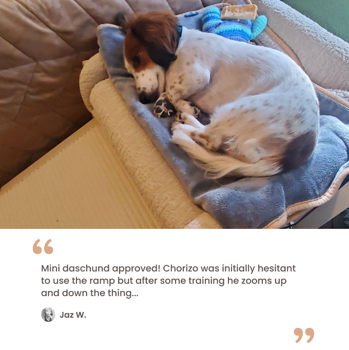 Black faux fur bed testimonial