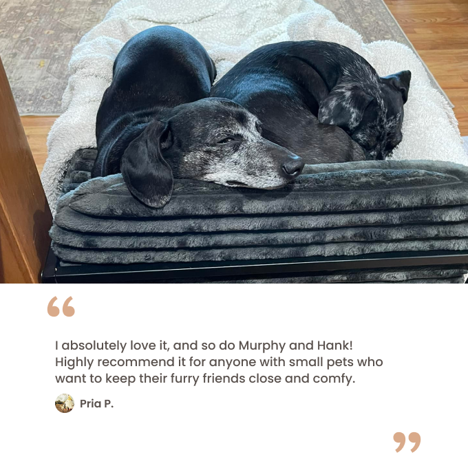 Black faux fur bed testimonial
