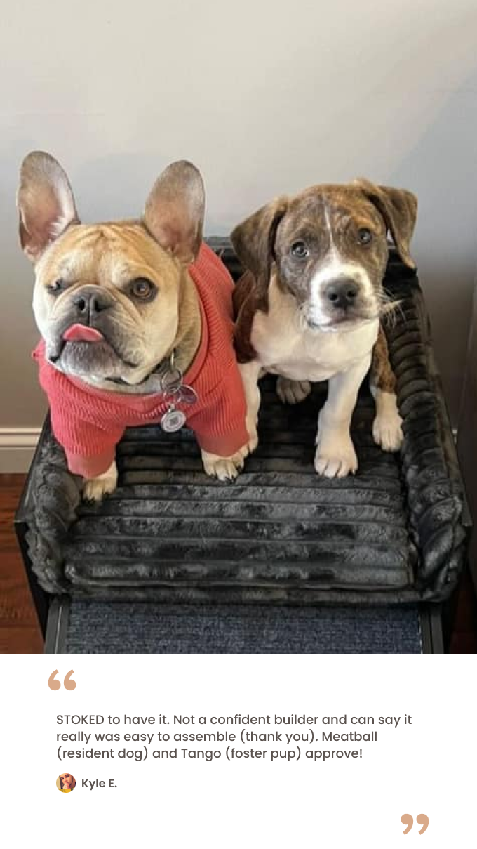 Black faux fur bed testimonial