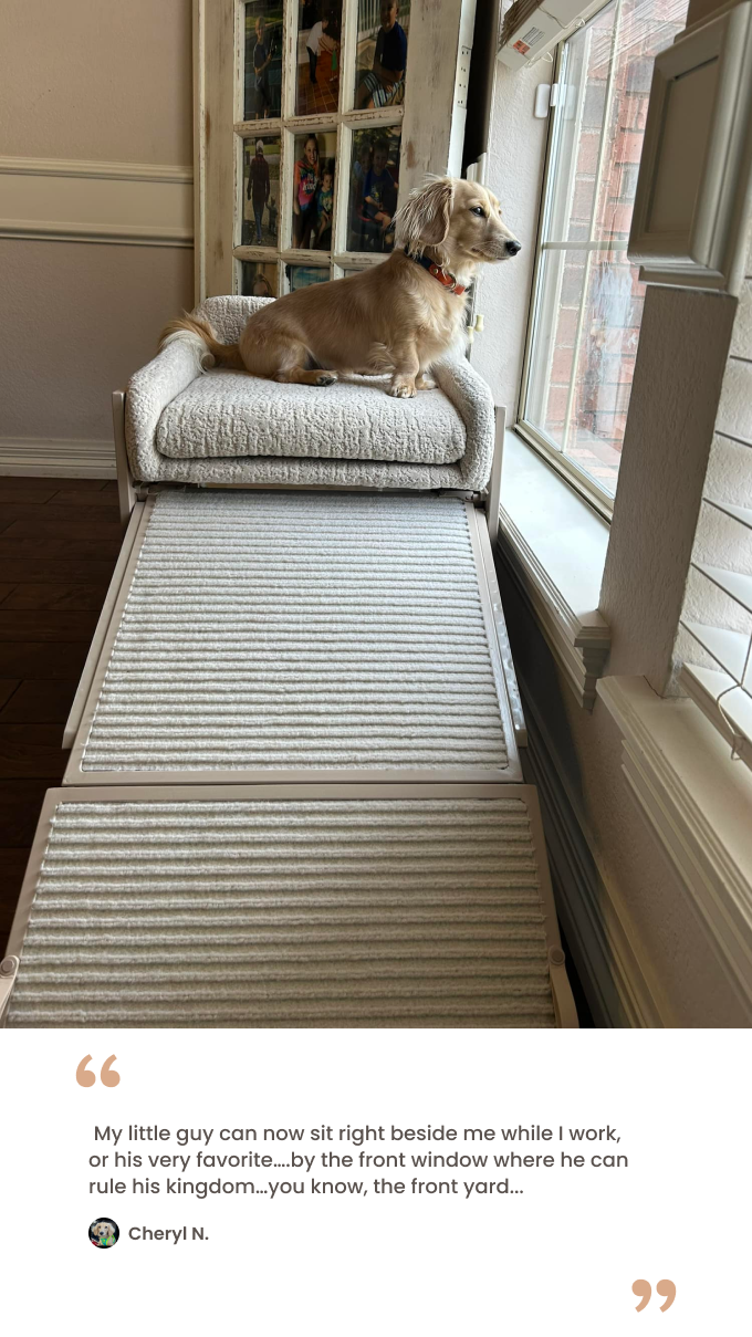 Black faux fur bed testimonial