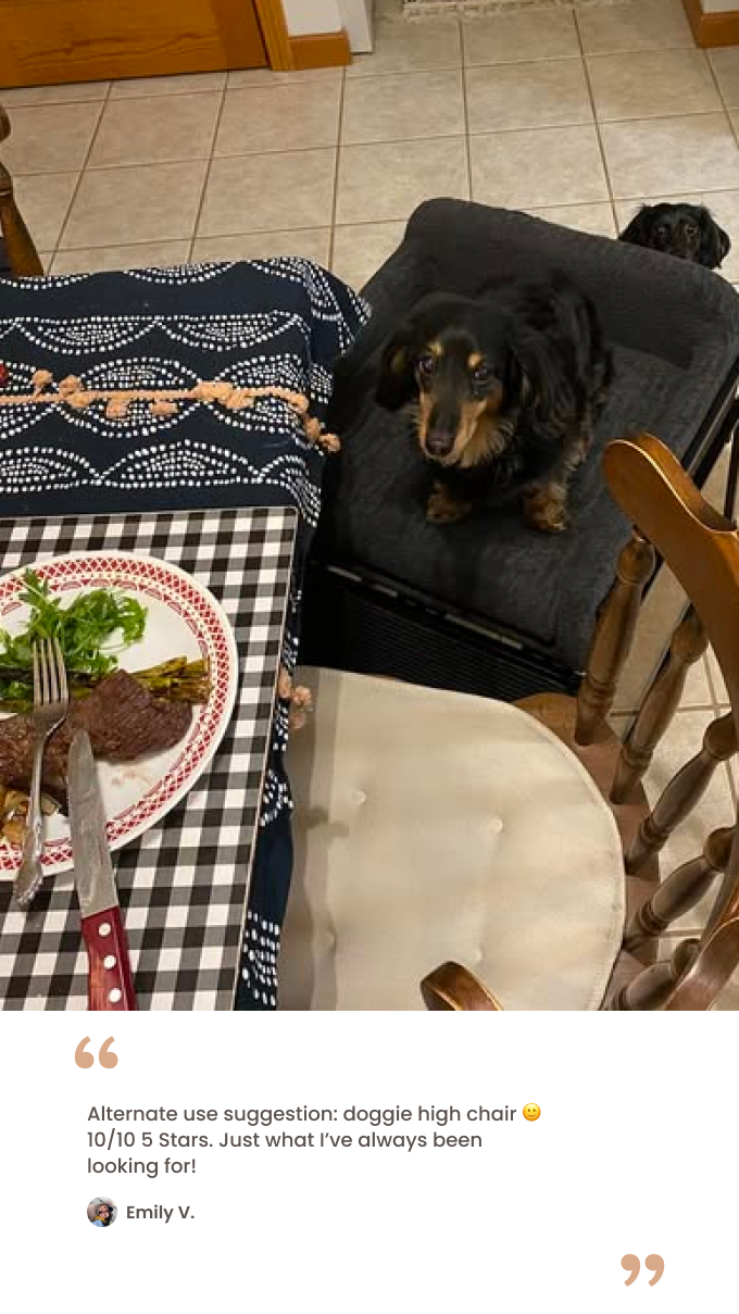 Black faux fur bed testimonial