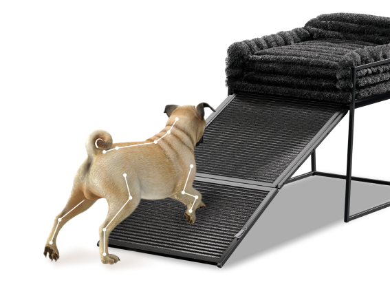 Office Chair For Your Dog with easy access ramp SeatMate